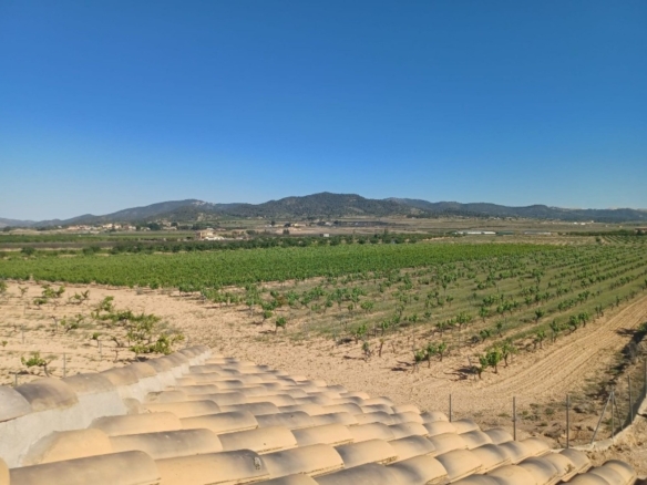 Villa in Pinoso (Ref: 9038 PT3140)
