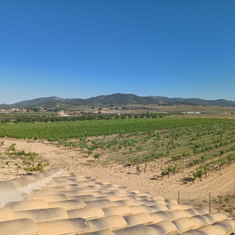 Villa in Pinoso (Ref: 9038 PT3140)