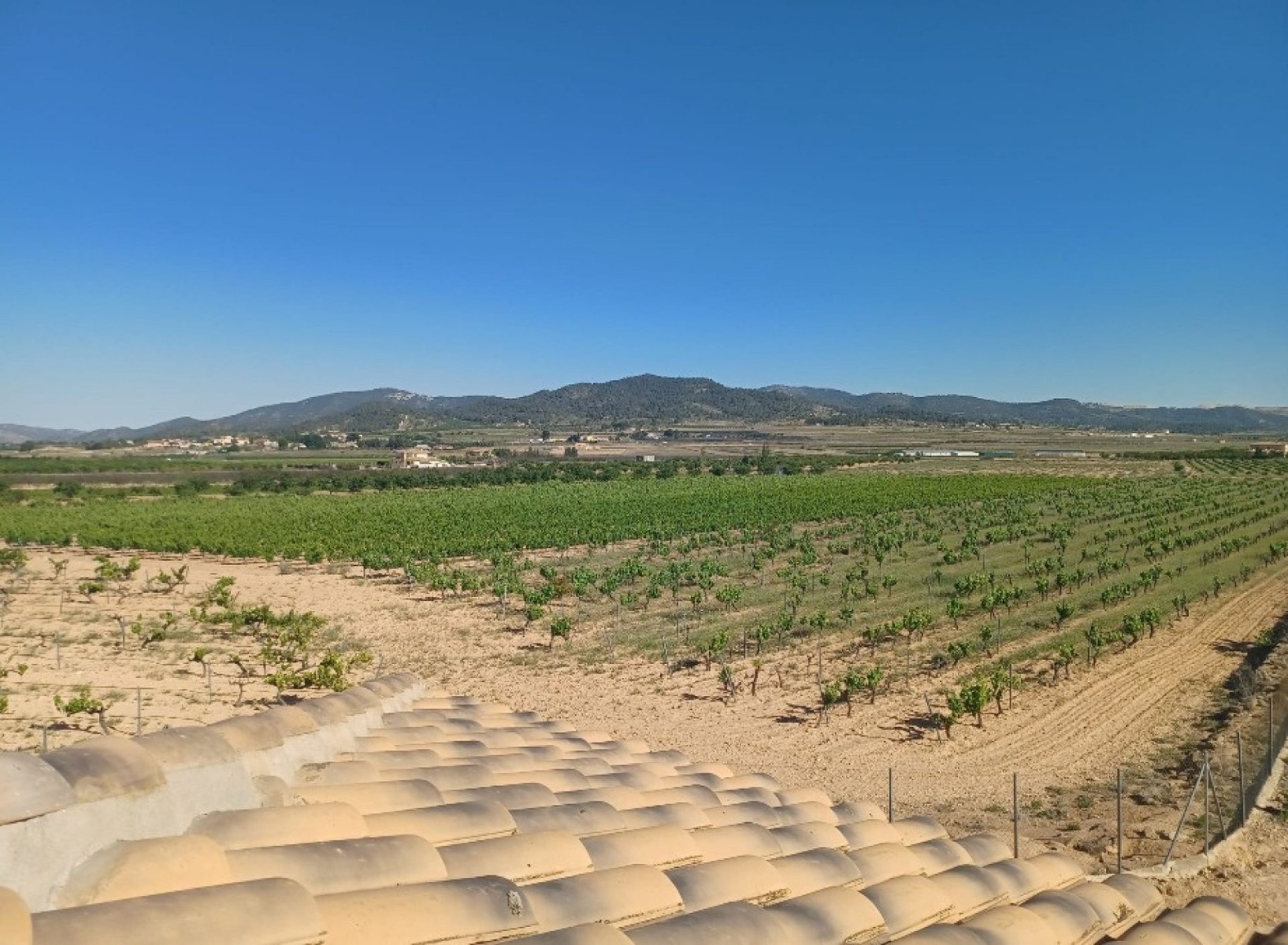 Villa in Pinoso (Ref: 9038 PT3140)