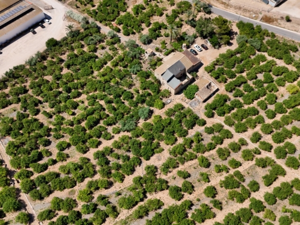 Finca Country Property in Orihuela (Ref: DLF141)