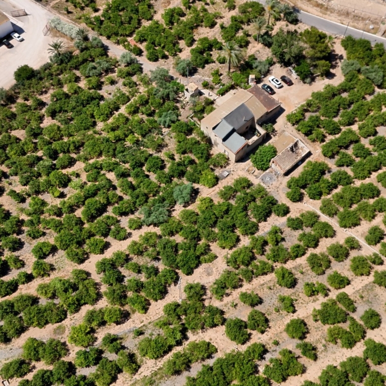 Finca Country Property in Orihuela (Ref: DLF141)
