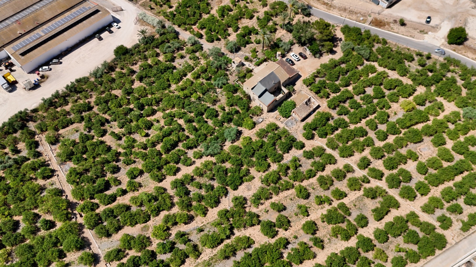Finca Country Property in Orihuela (Ref: DLF141)