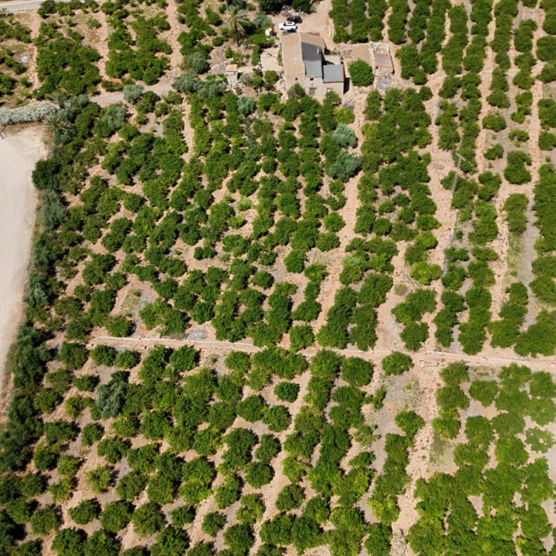 Finca Country Property in Orihuela (Ref: DLF141)