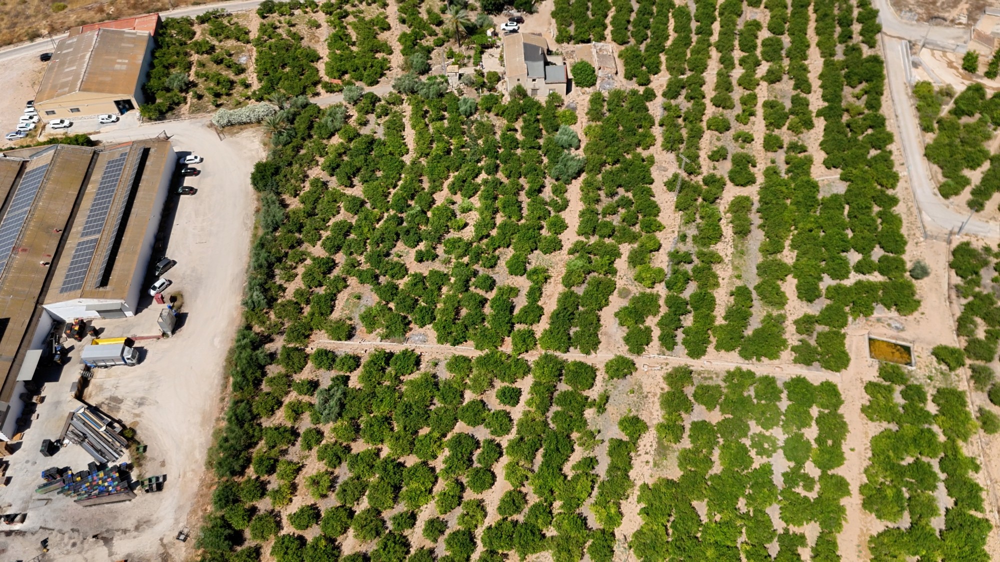 Finca Country Property in Orihuela (Ref: DLF141)