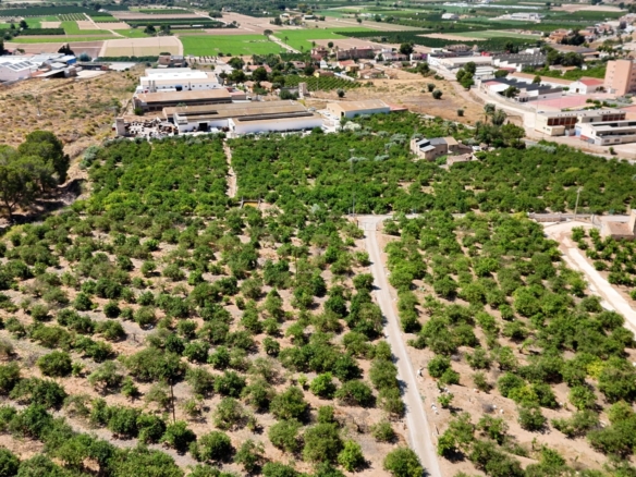 Finca Country Property in Orihuela (Ref: DLF141)