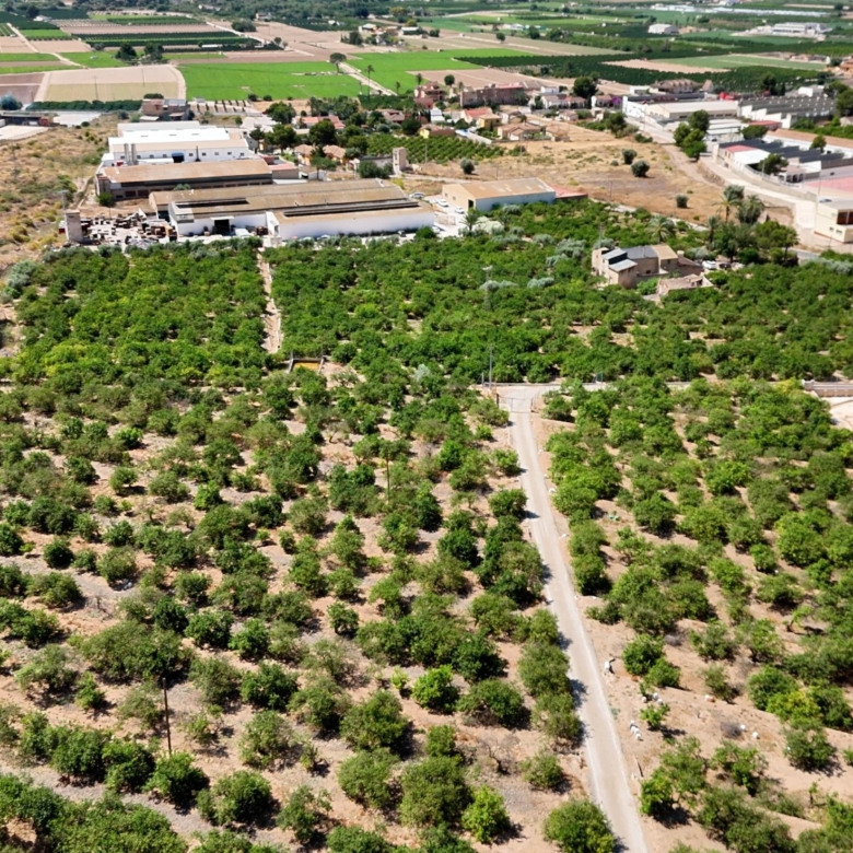 Finca Country Property in Orihuela (Ref: DLF141)