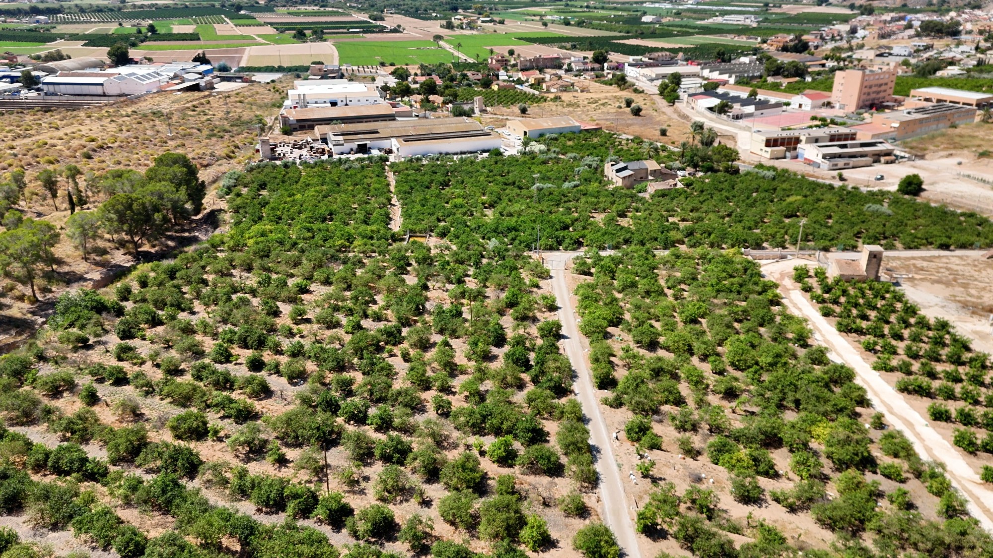 Finca Country Property in Orihuela (Ref: DLF141)