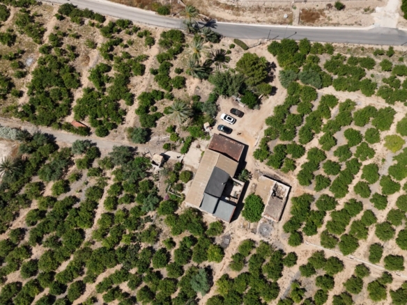 Finca Country Property in Orihuela (Ref: DLF141)