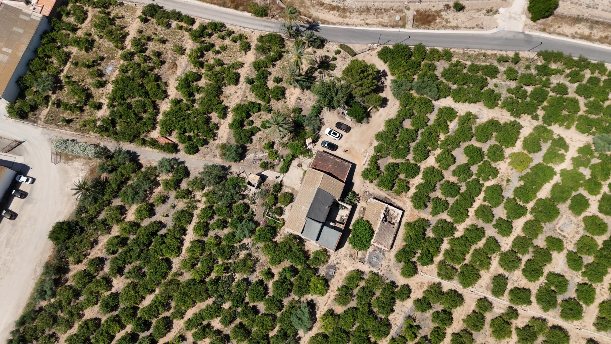 Finca Country Property in Orihuela (Ref: DLF141)