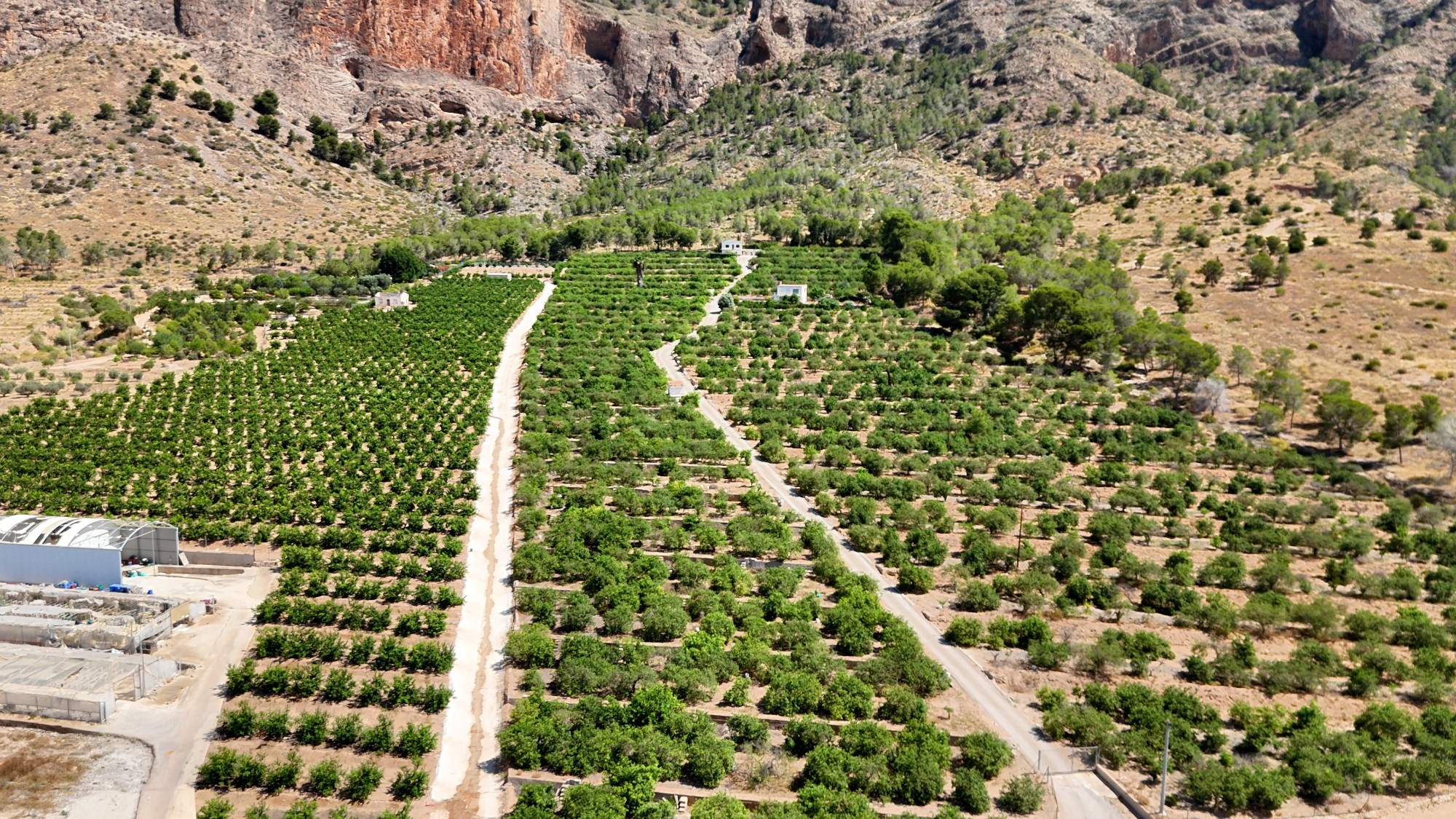 Finca Country Property in Orihuela (Ref: DLF141)
