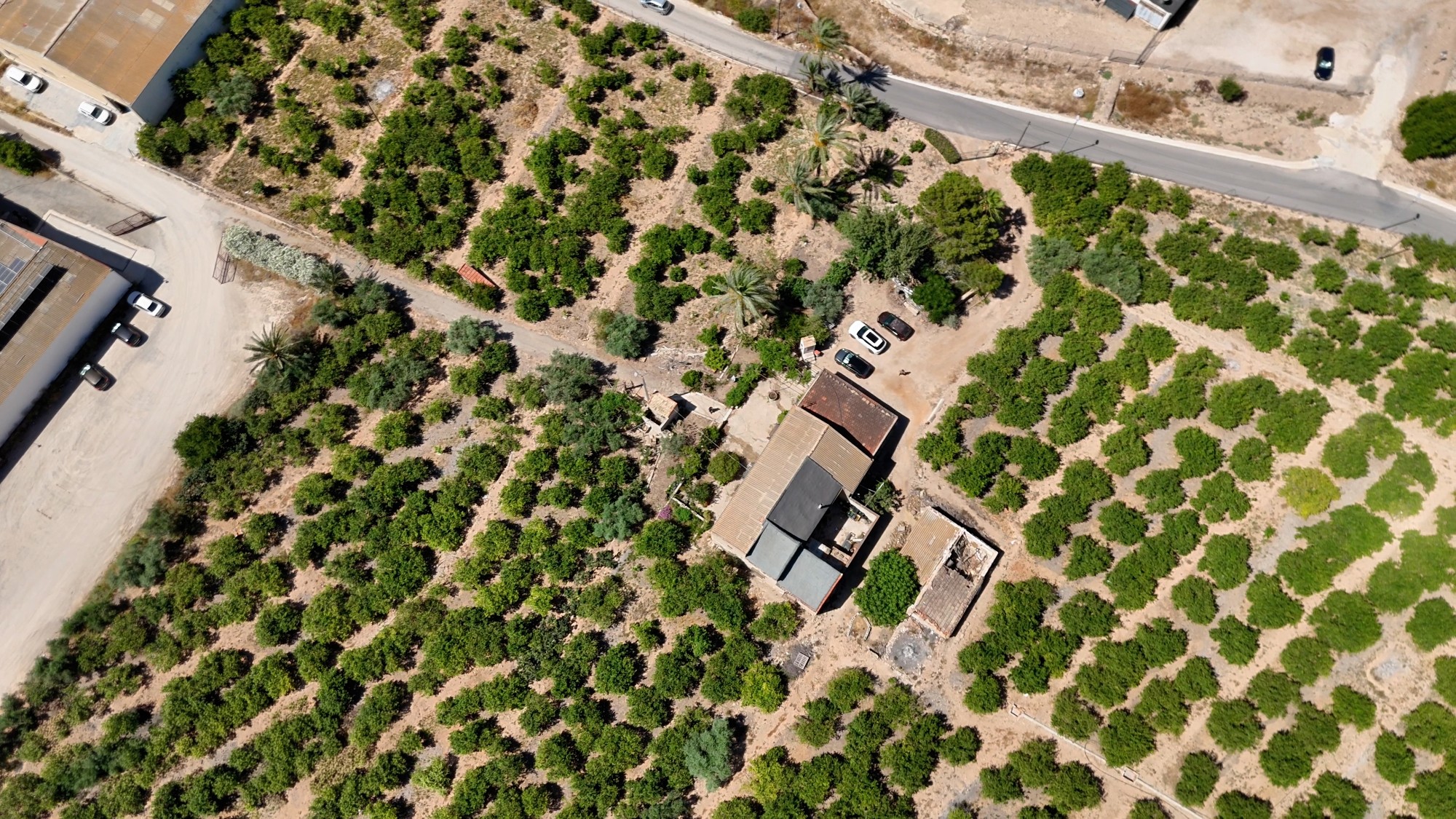 Finca Country Property in Orihuela (Ref: DLF141)