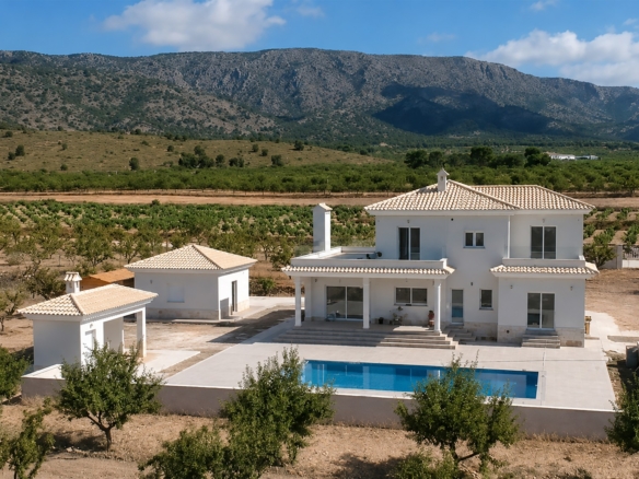 Villa in Pinoso (Ref: AM-PNLCY220)
