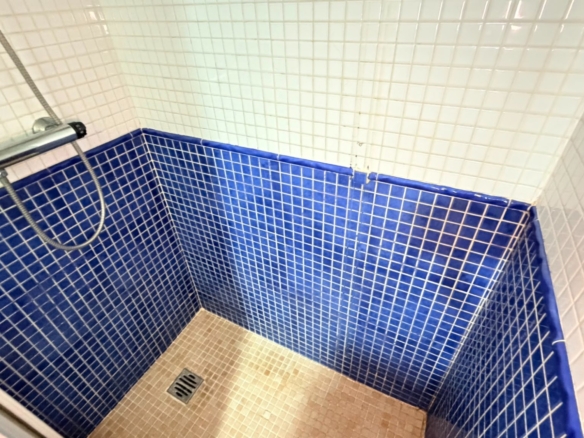 Apartment / Flat in Los Montesinos (Ref: BCT-MATS-D)