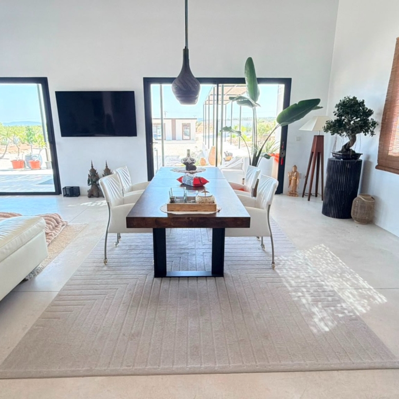Detached Villa in Pinoso (Ref: BC-VEJO)