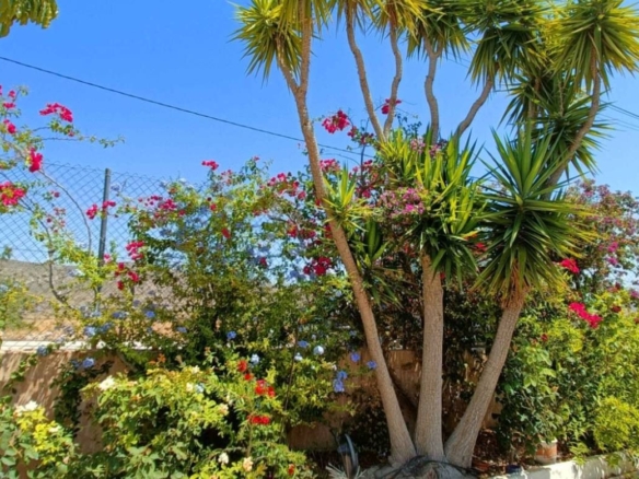 Villa in Abanilla (Ref: 3300 AM Salado)