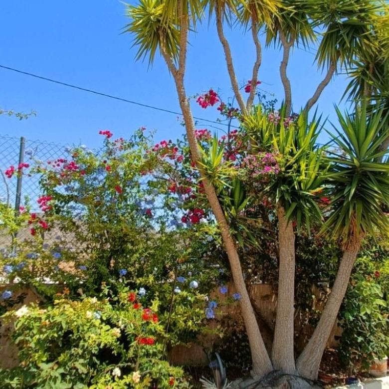 Villa in Abanilla (Ref: 3300 AM Salado)