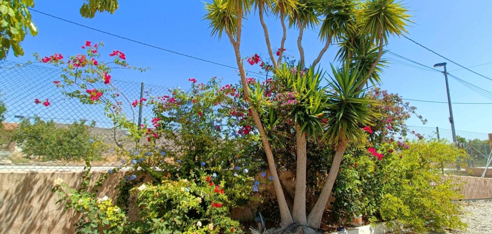 Villa in Abanilla (Ref: 3300 AM Salado)