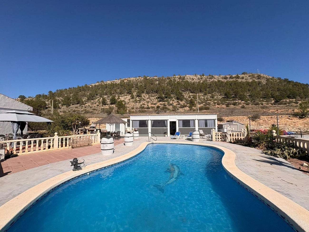 Villa in Monóvar/Monóver (Ref: NWD6047)