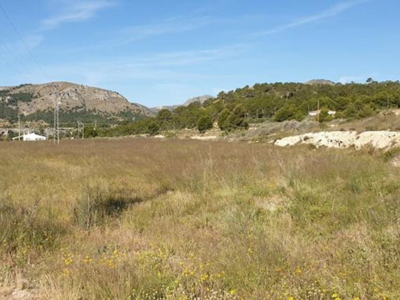 Land in La Romana (Ref: 1476)