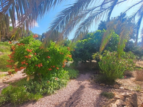 Villa in Hondón de las Nieves (Ref: 2502)