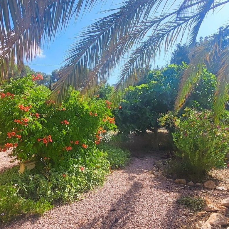 Villa in Hondón de las Nieves (Ref: 2502)