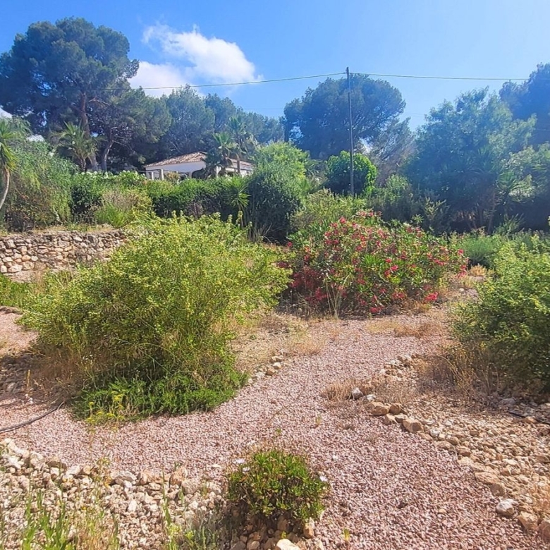 Villa in Hondón de las Nieves (Ref: 2502)