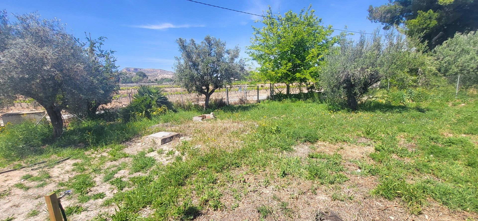 Villa in La Romana (Ref: 2498)
