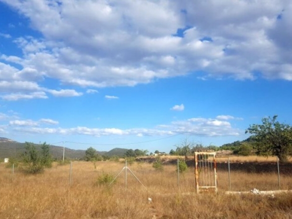 Land in Monovar (Ref: 1133)