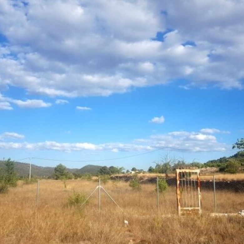 Land in Monovar (Ref: 1133)
