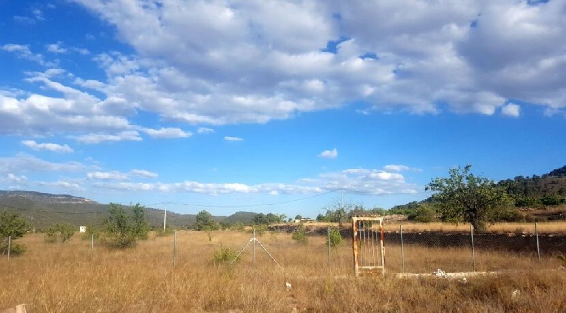 Land in Monovar (Ref: 1133)