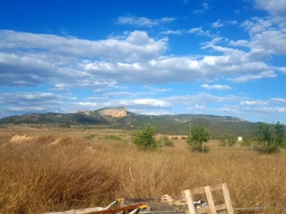 Land in Monovar (Ref: 1133)