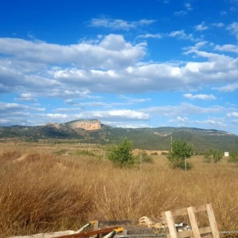 Land in Monovar (Ref: 1133)