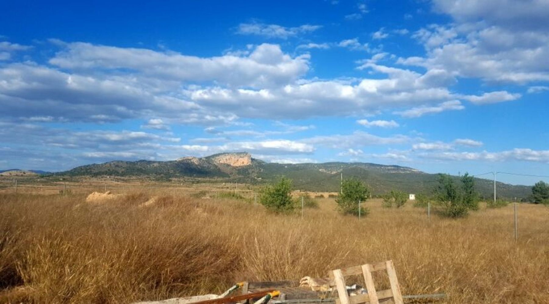 Land in Monovar (Ref: 1133)