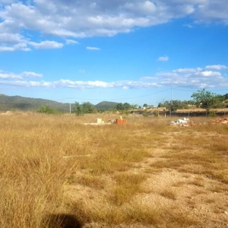 Land in Monovar (Ref: 1133)
