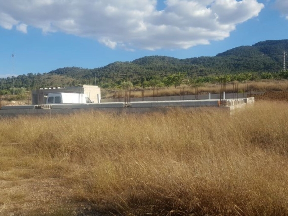 Land in Monovar (Ref: 1133)