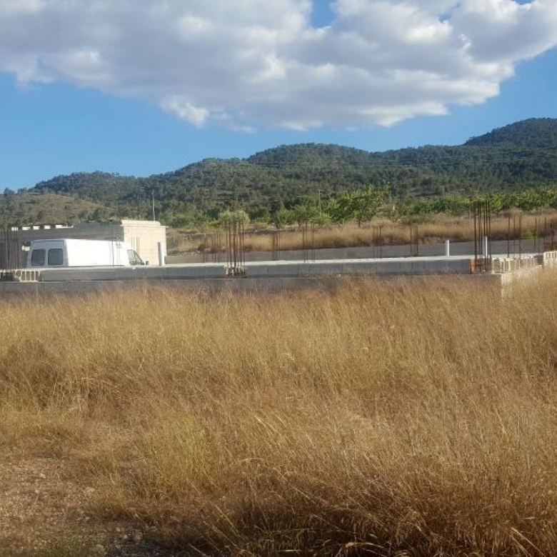 Land in Monovar (Ref: 1133)
