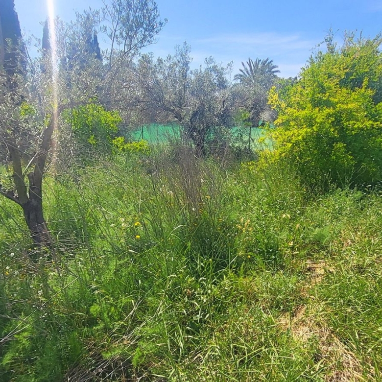 Villa in La Romana (Ref: 2498)