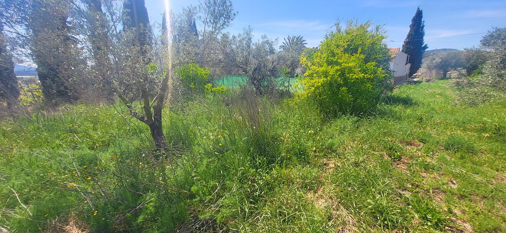 Villa in La Romana (Ref: 2498)
