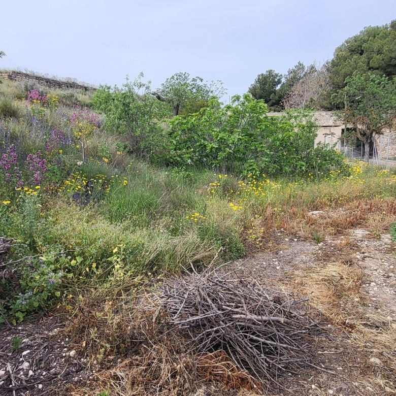 Townhouse in Casas del Señor (Ref: 2448)