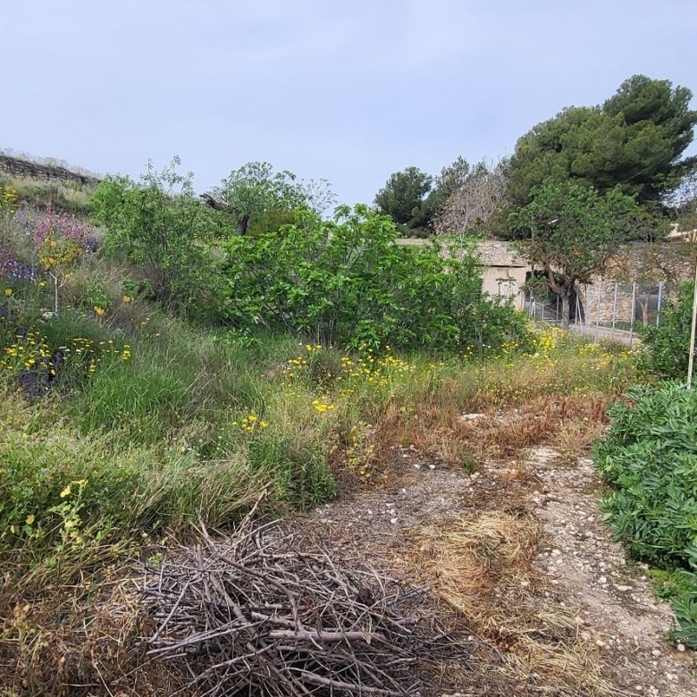 Townhouse in Casas del Señor (Ref: 2448)