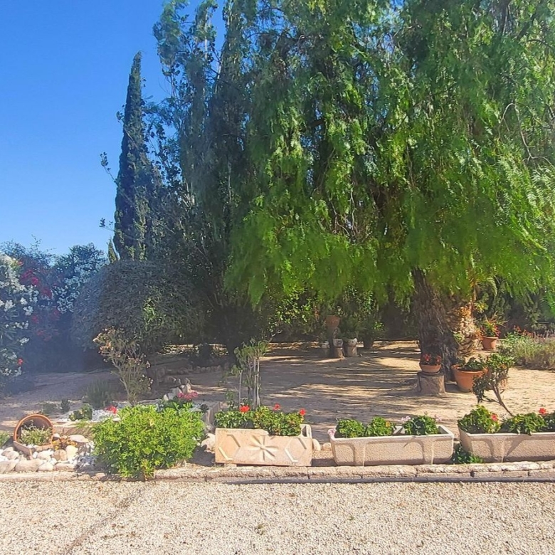 Villa in Novelda (Ref: 2503)