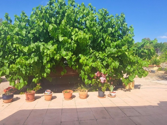 Villa in Hondón de las Nieves (Ref: 2502)
