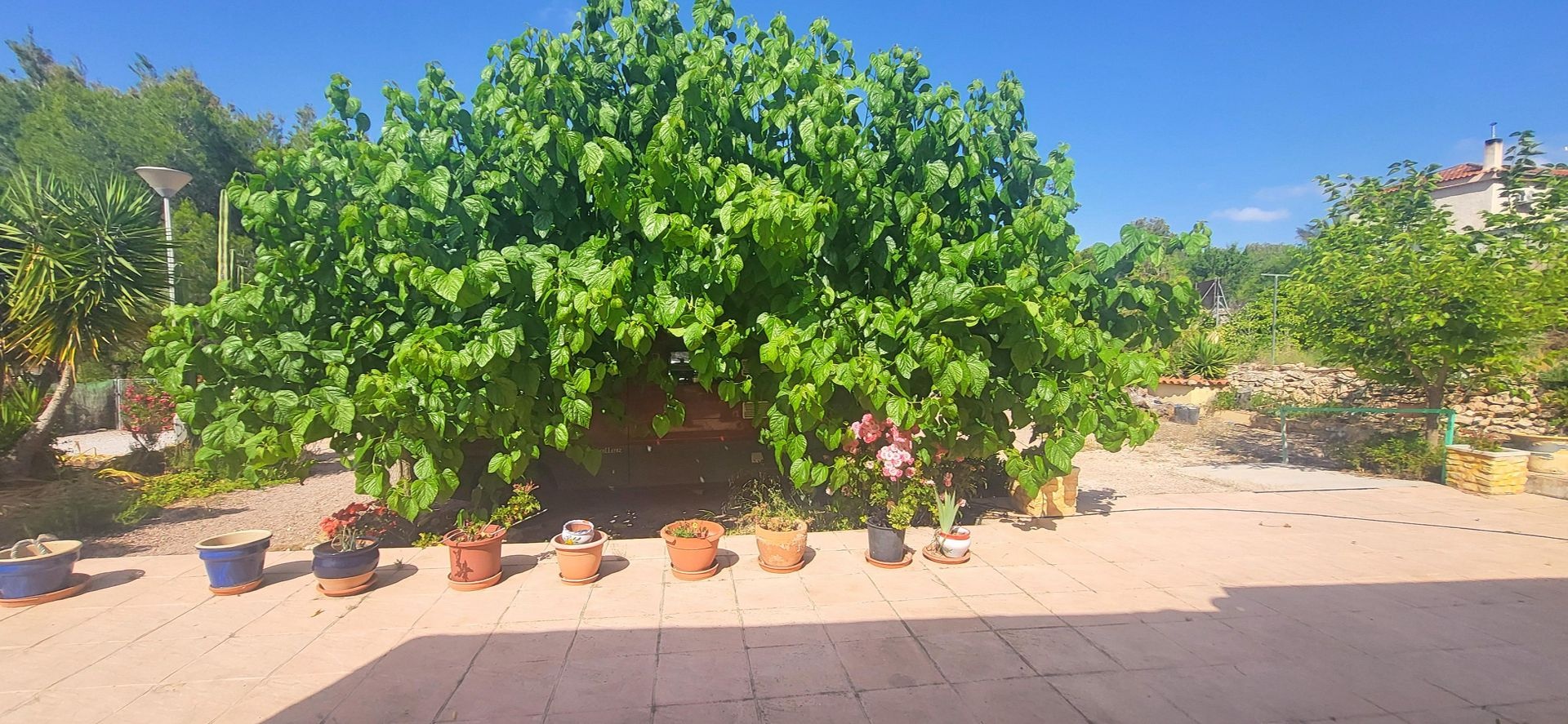 Villa in Hondón de las Nieves (Ref: 2502)