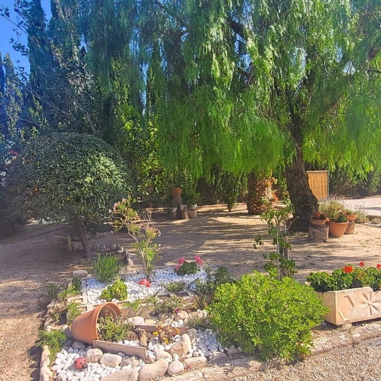 Villa in Novelda (Ref: 2503)