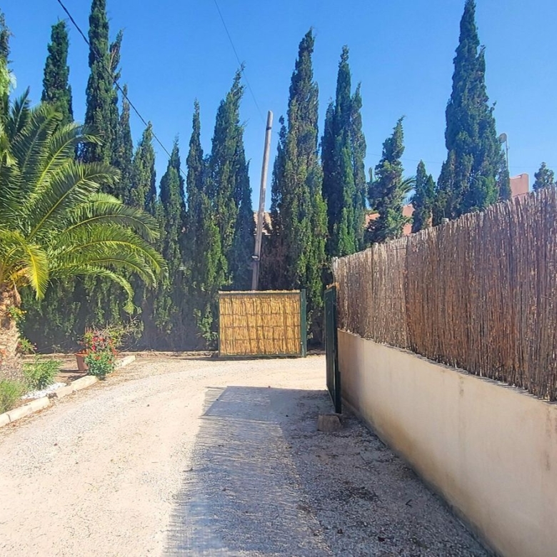 Villa in Novelda (Ref: 2503)