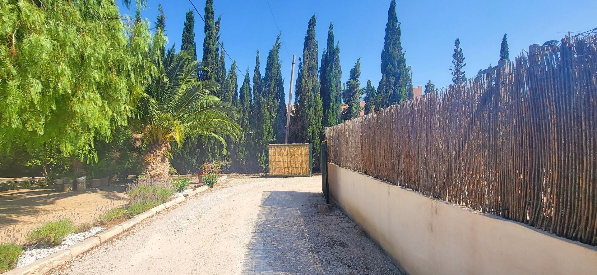 Villa in Novelda (Ref: 2503)