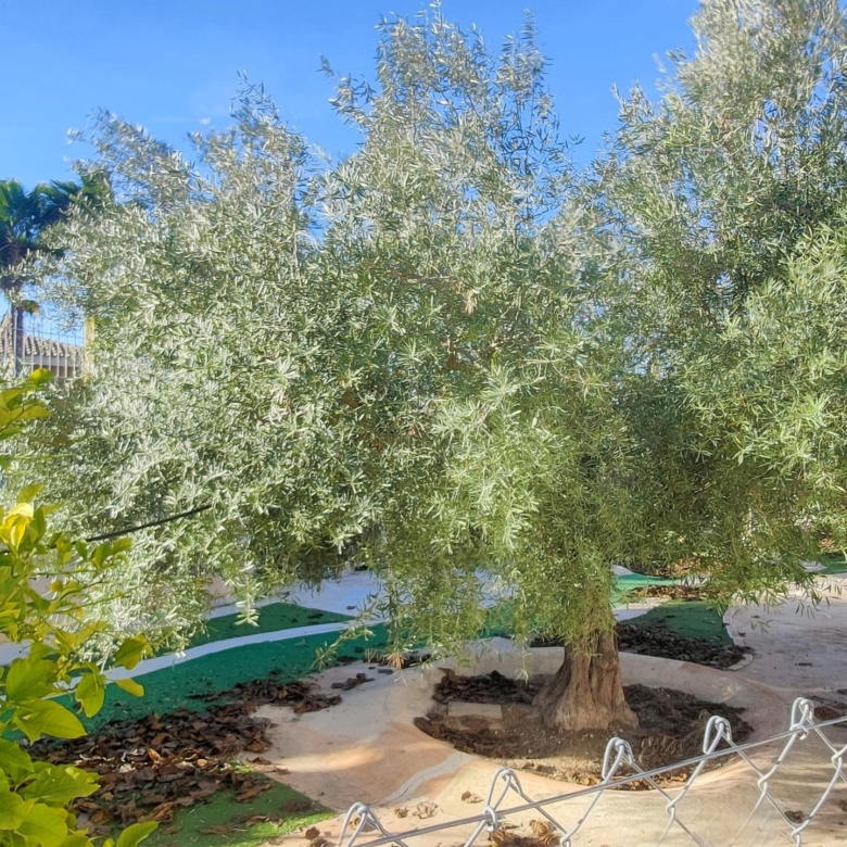 Villa in Aspe (Ref: 2493)