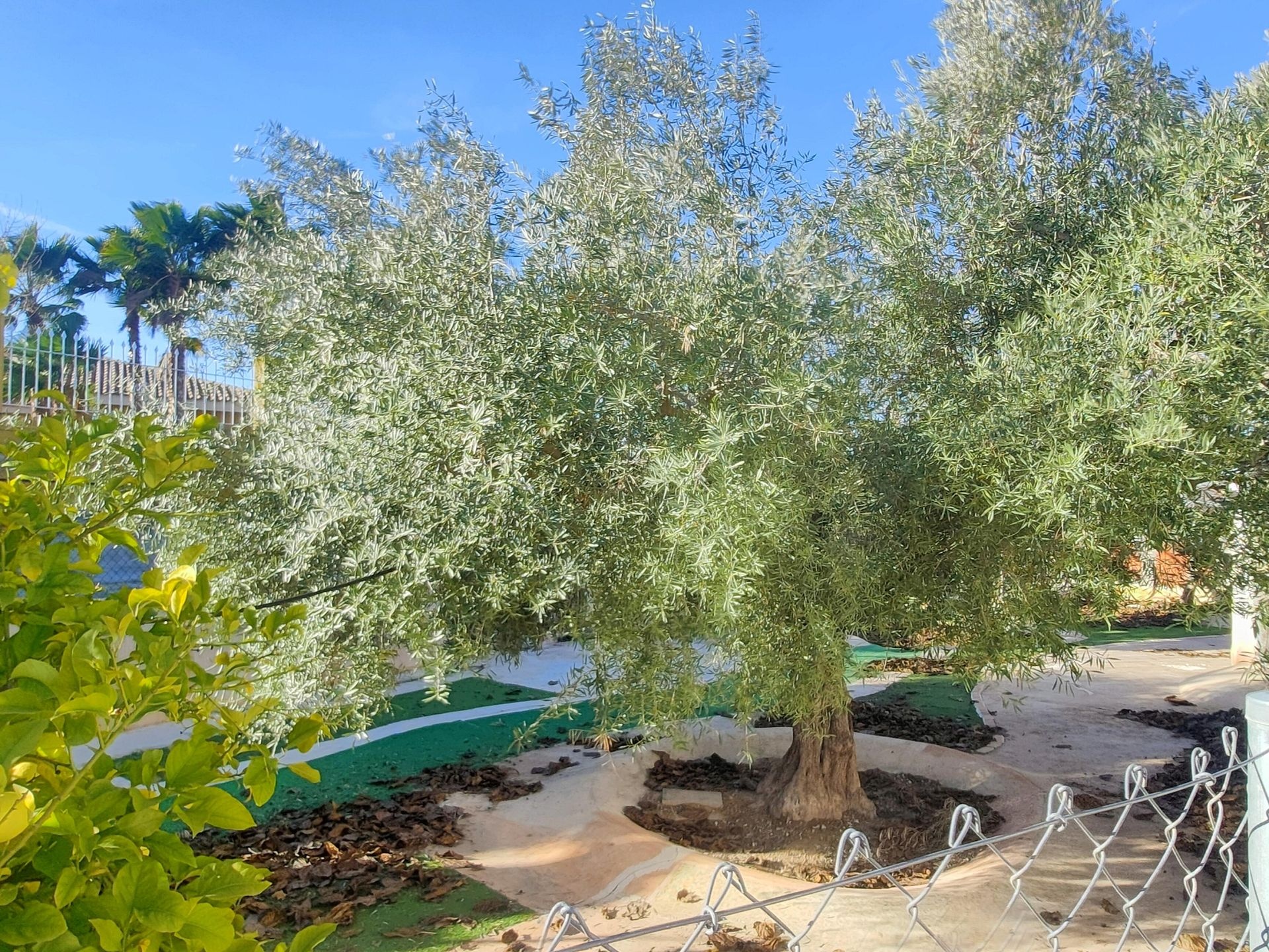 Villa in Aspe (Ref: 2493)