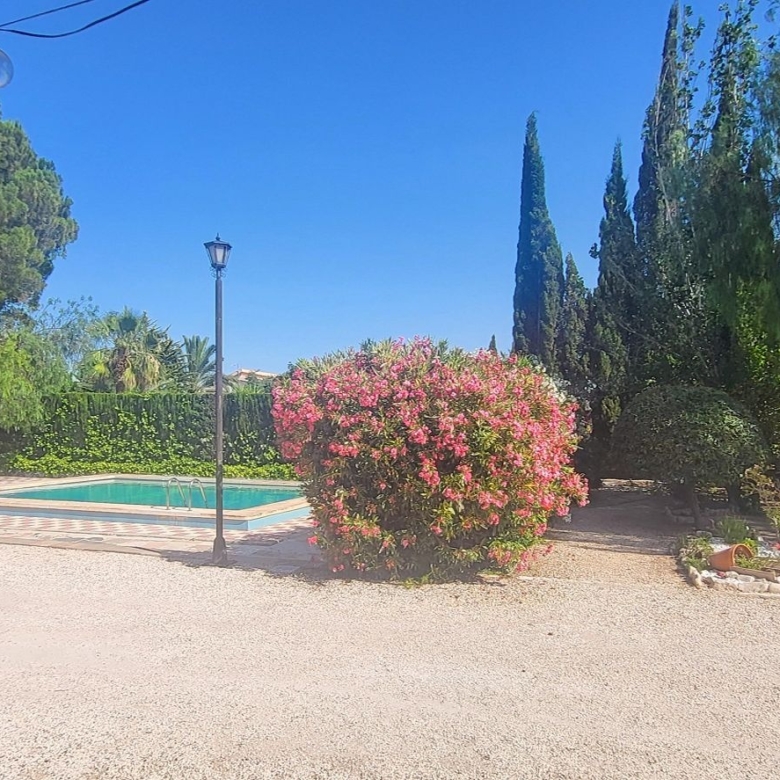 Villa in Novelda (Ref: 2503)