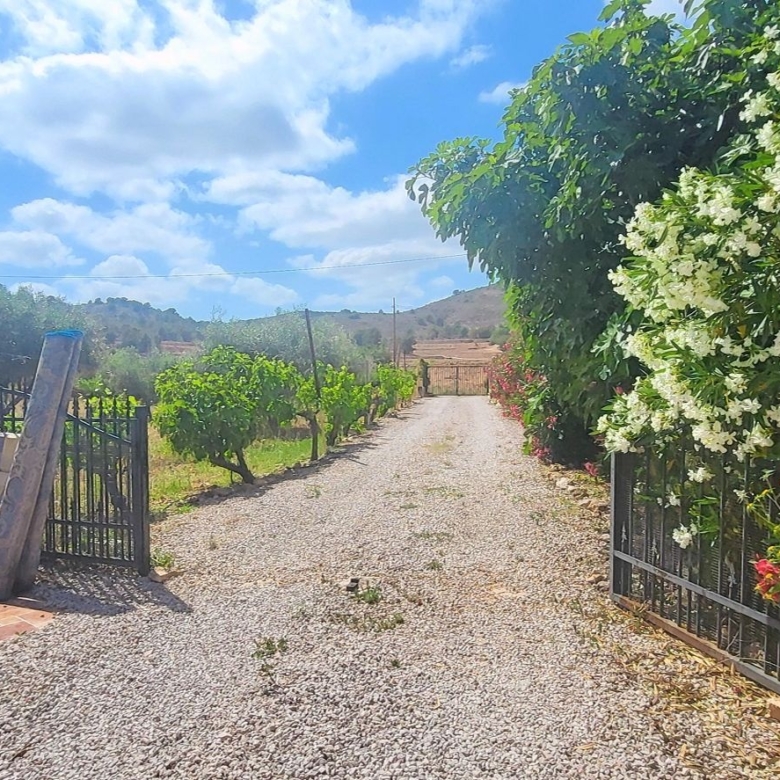 Villa in Hondón de las Nieves (Ref: 2502)